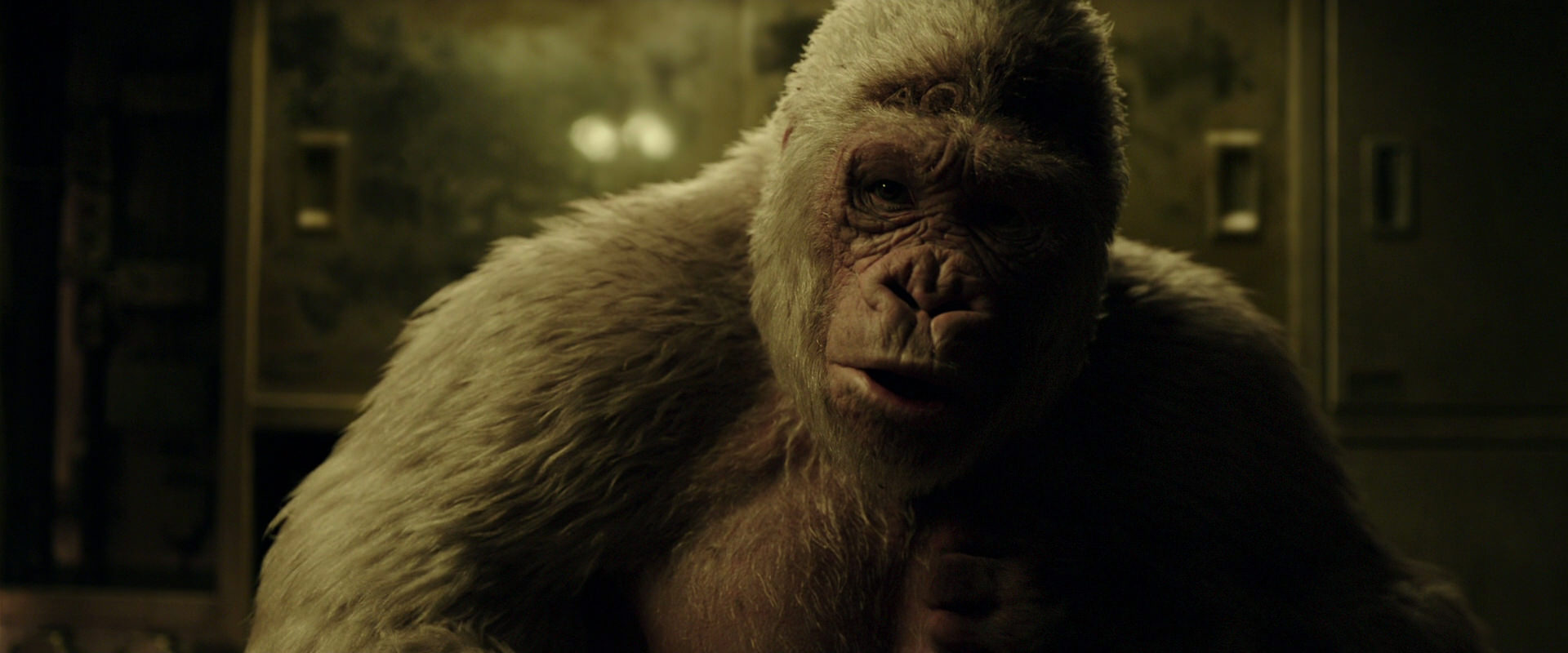 War for the Planet of the Apes (2017) screencap 4068