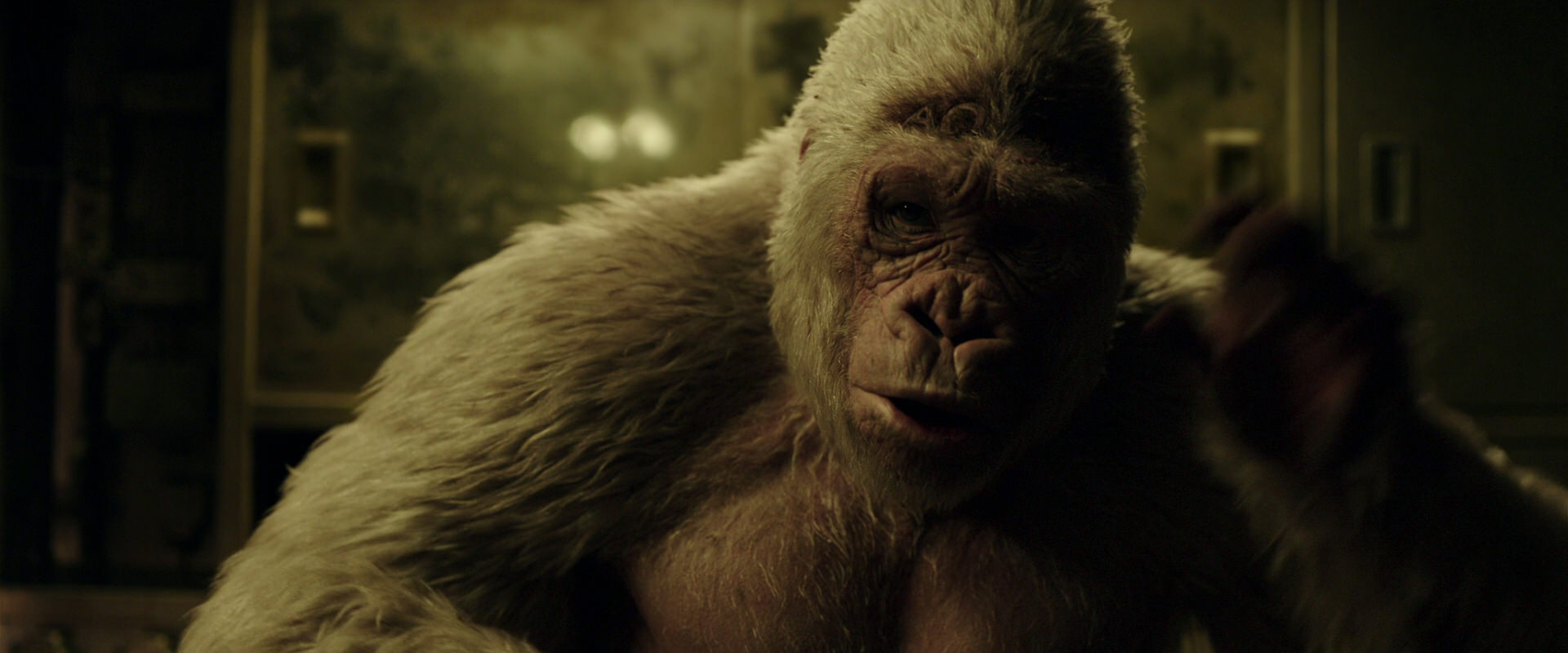 War for the Planet of the Apes (2017) movie still 4069