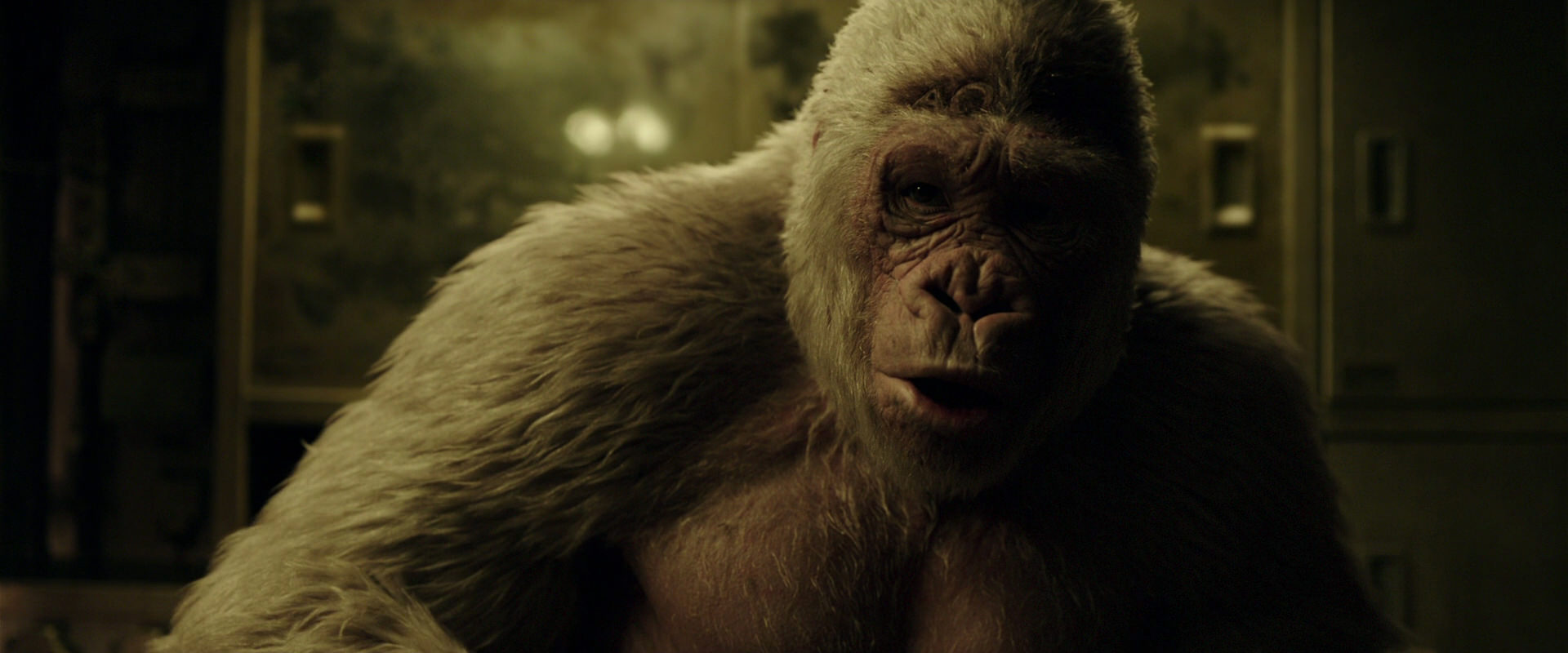 War for the Planet of the Apes (2017) screencap 4071