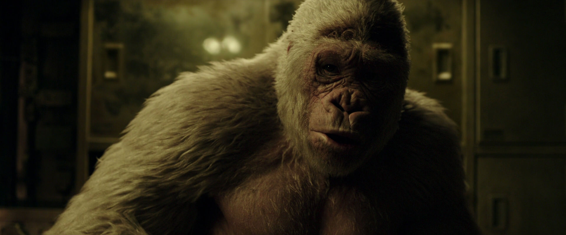 War for the Planet of the Apes (2017) movie still 4072