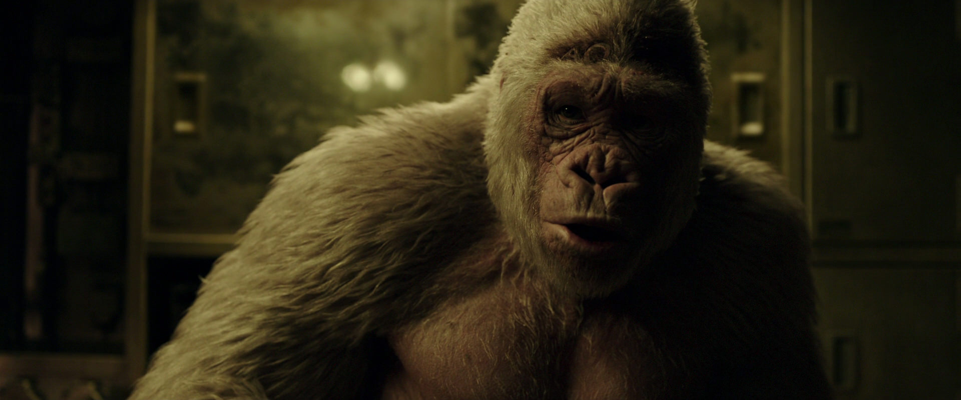 War for the Planet of the Apes (2017) HD screenshot 4073