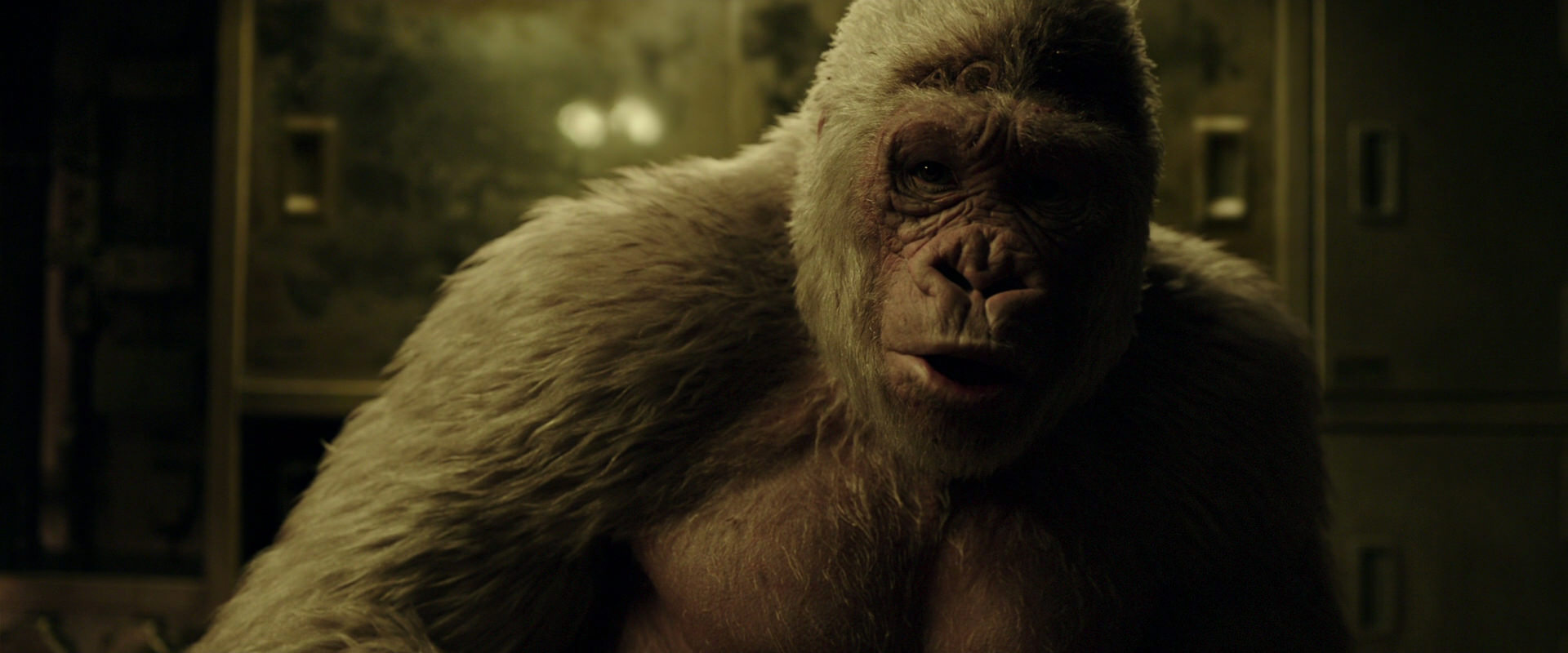 War for the Planet of the Apes (2017) screencap 4074
