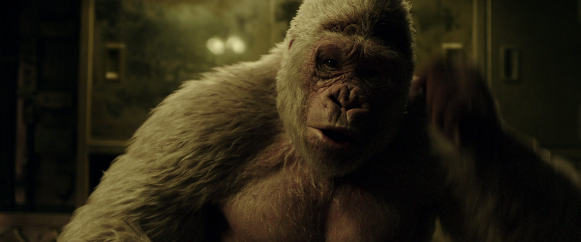 War for the Planet of the Apes (2017) movie still 4075