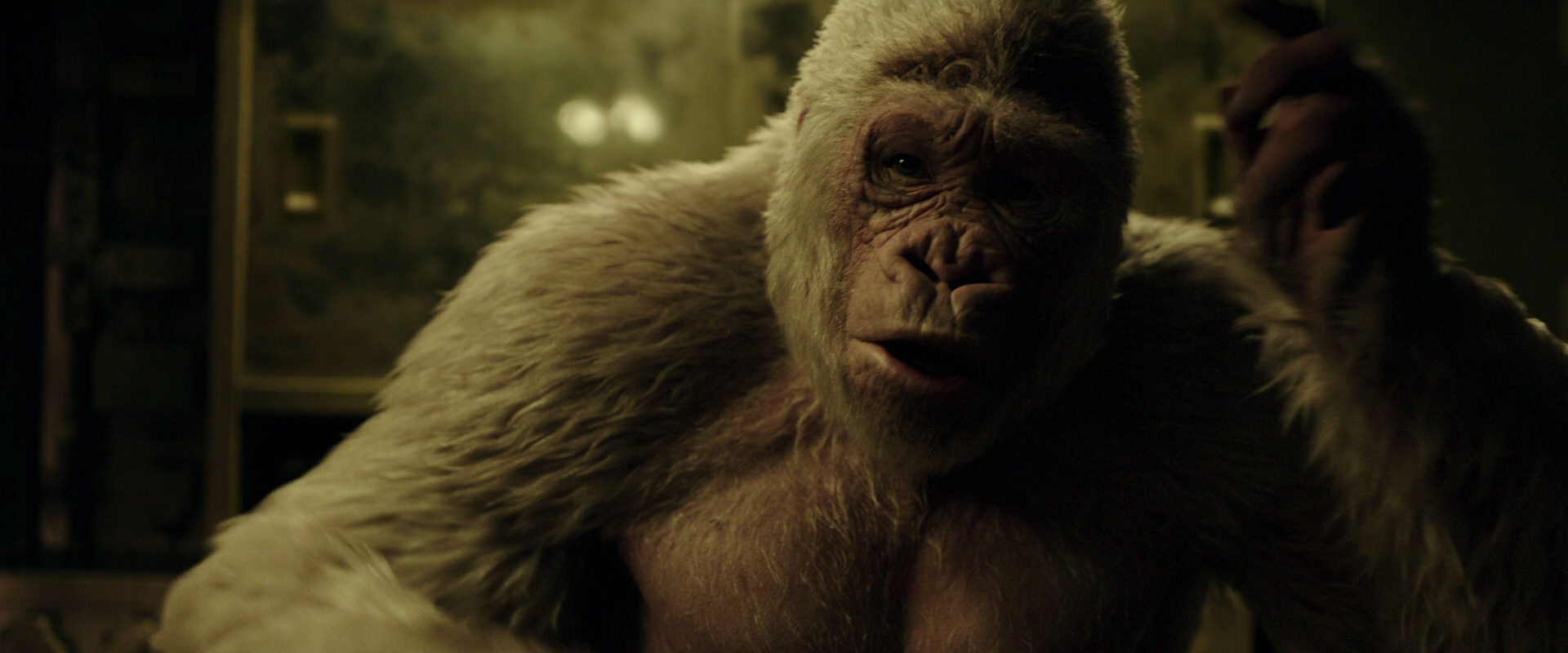 War for the Planet of the Apes (2017) screencap 4077