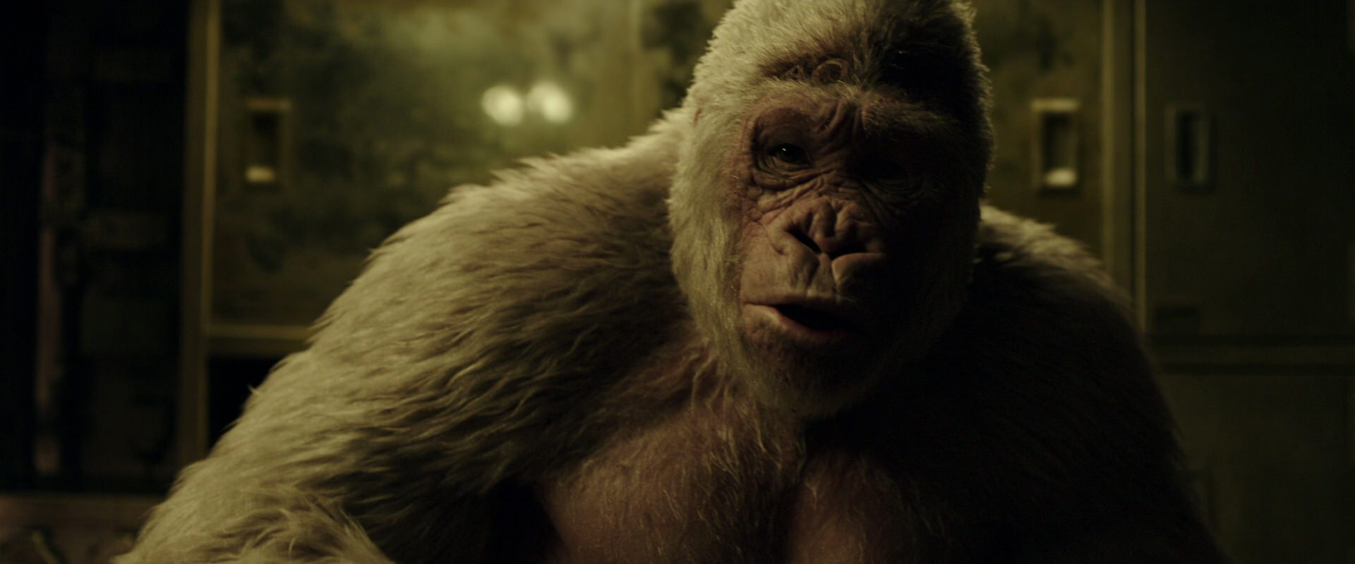 War for the Planet of the Apes (2017) movie still 4078