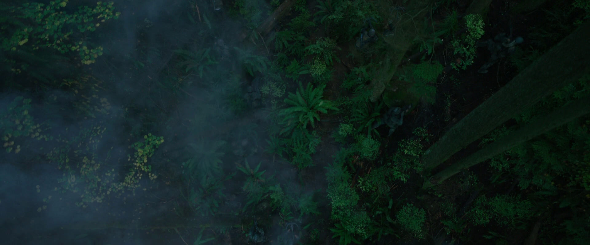 War for the Planet of the Apes (2017) screencap 408
