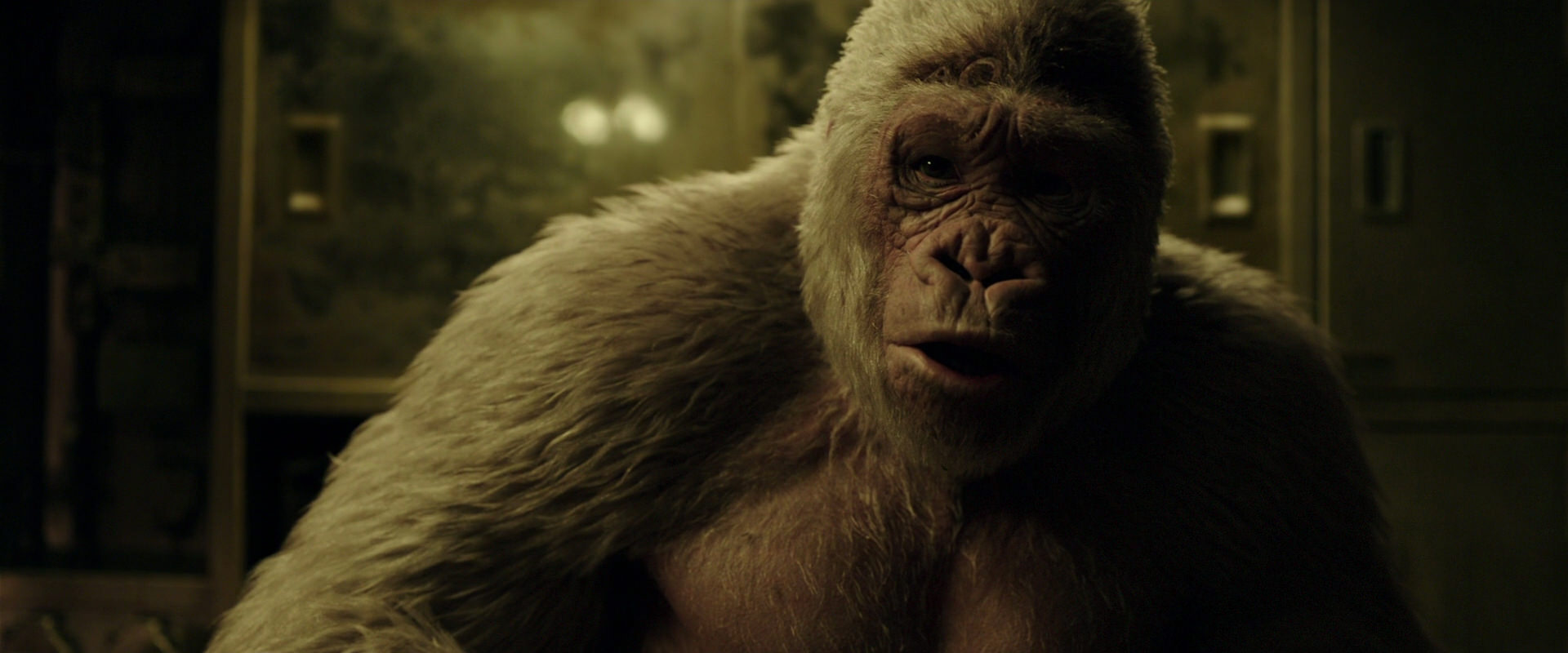 War for the Planet of the Apes (2017) screencap 4080