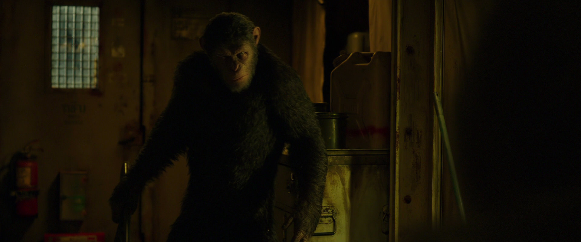 War for the Planet of the Apes (2017) movie still 4081