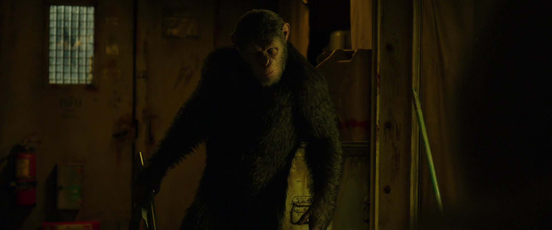 War for the Planet of the Apes (2017) screencap 4083