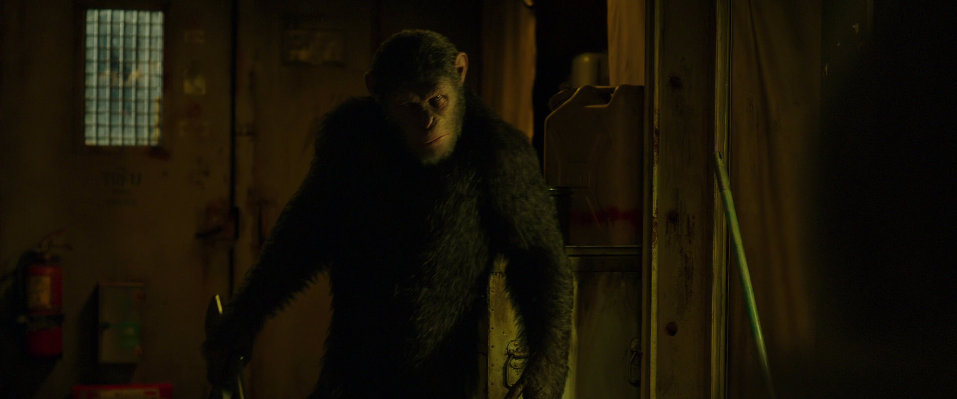 War for the Planet of the Apes (2017) movie still 4084