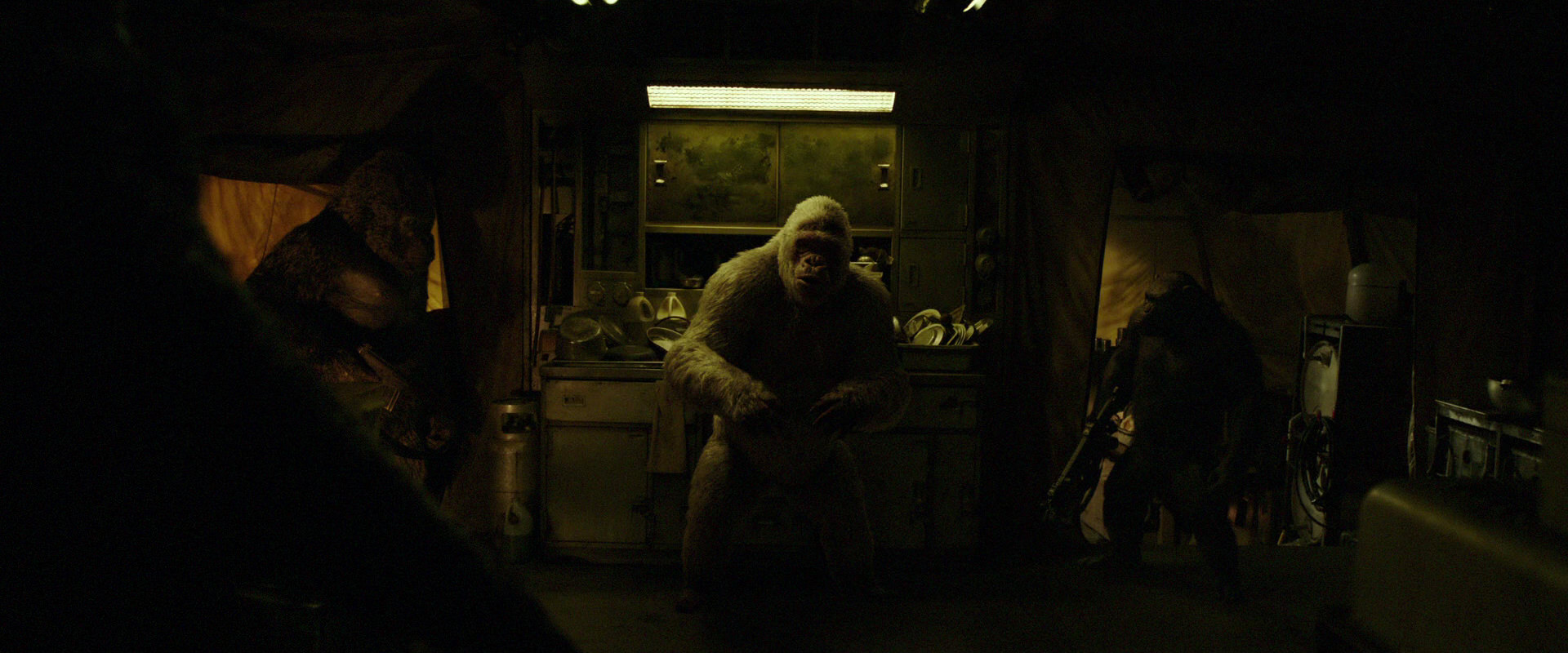 War for the Planet of the Apes (2017) screencap 4086