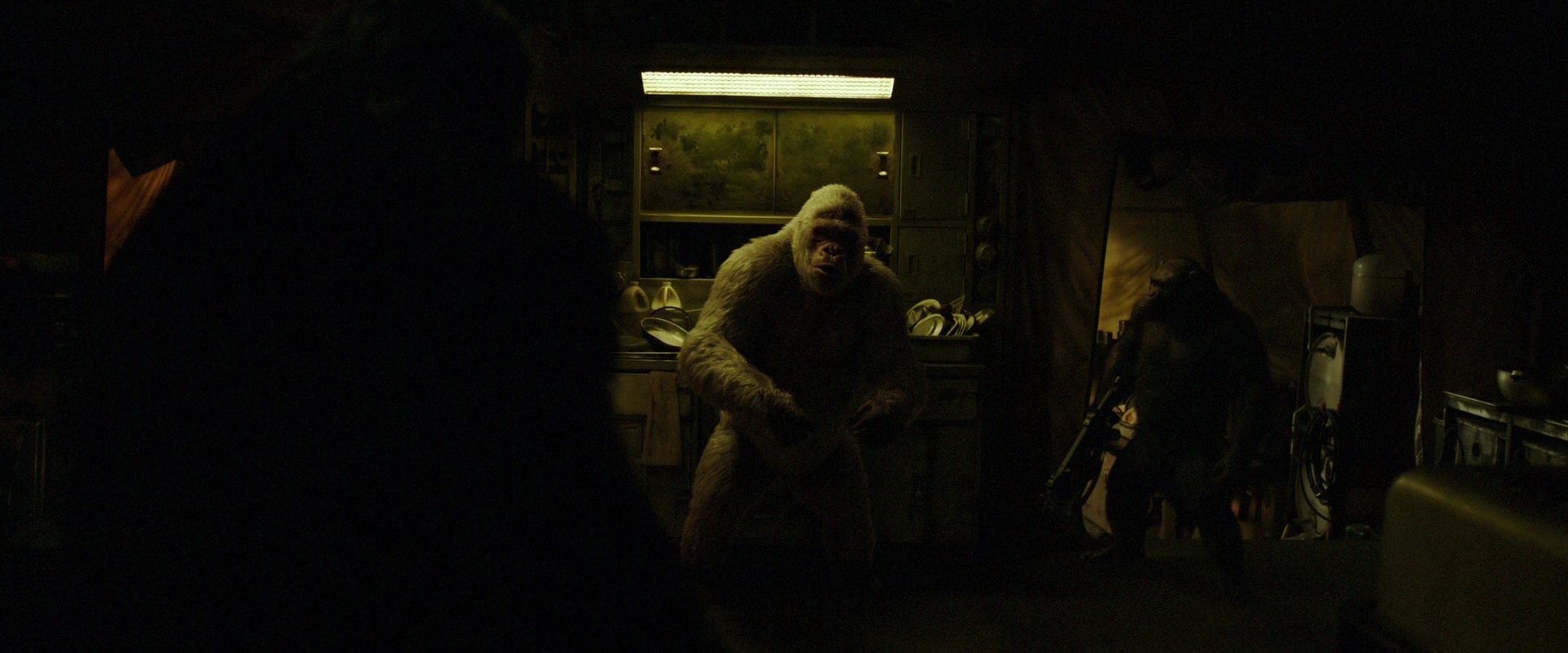 War for the Planet of the Apes (2017) screencap 4089