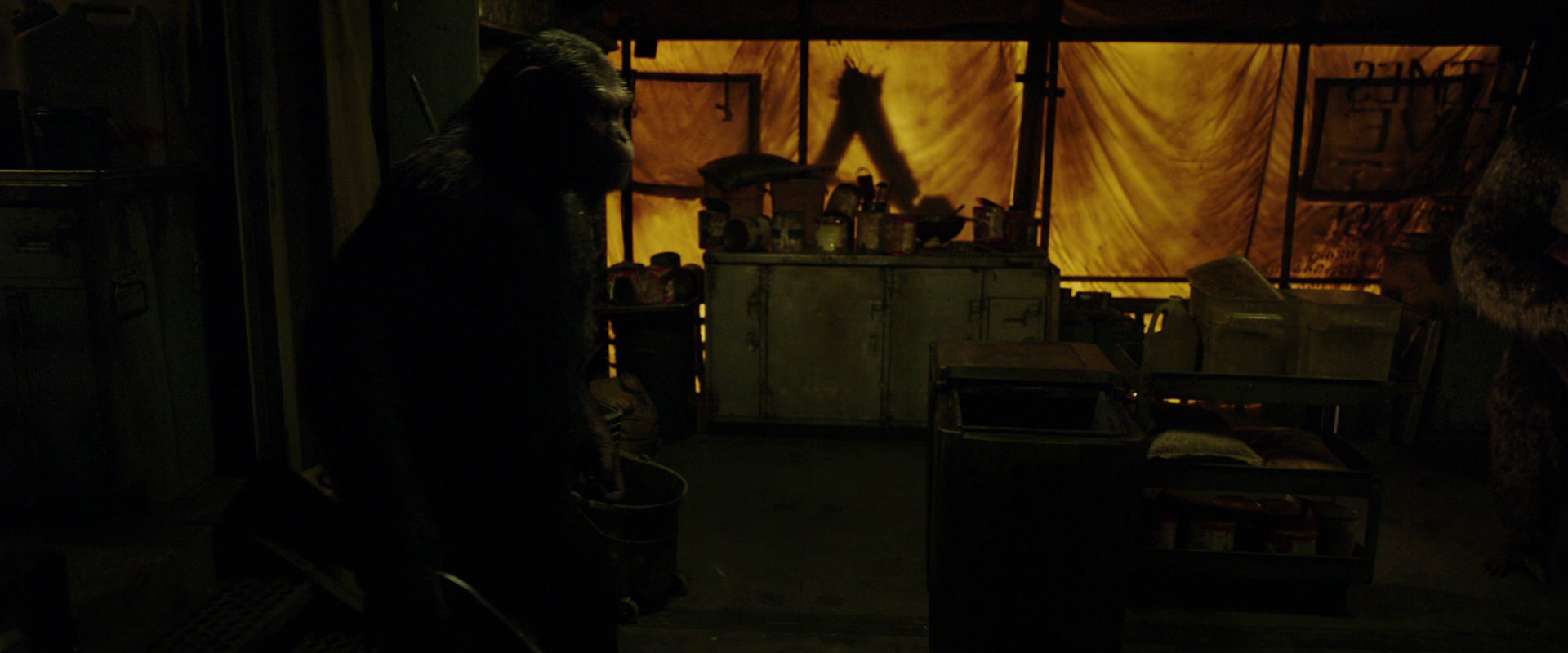 War for the Planet of the Apes (2017) screencap 4092