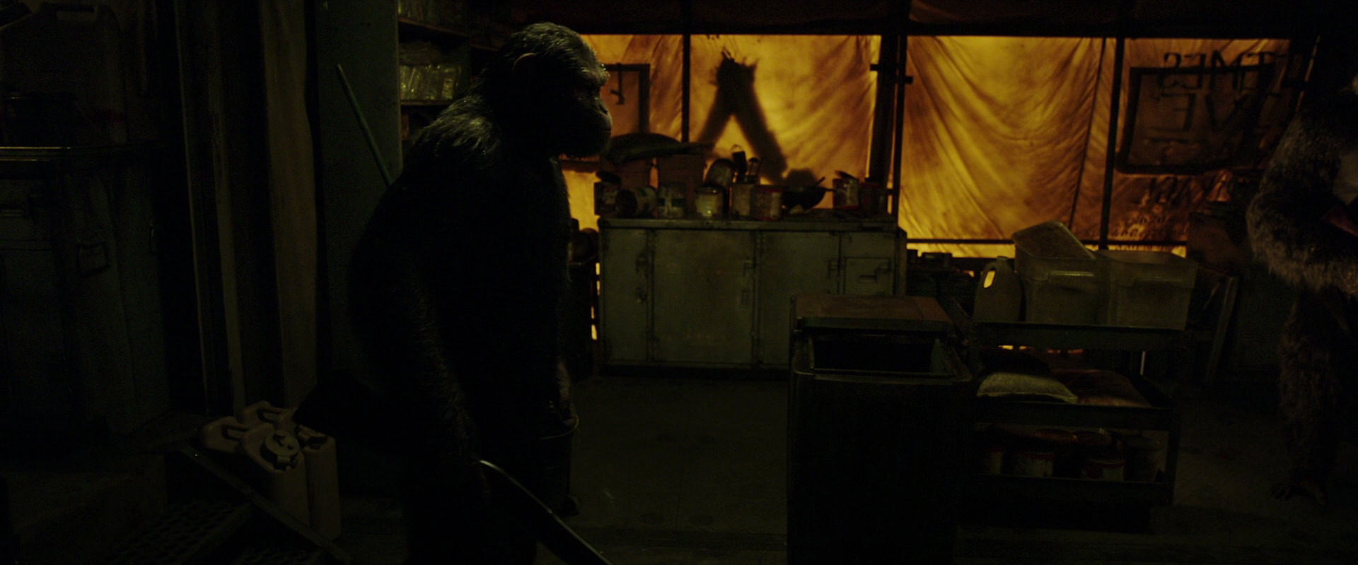 War for the Planet of the Apes (2017) movie still 4093