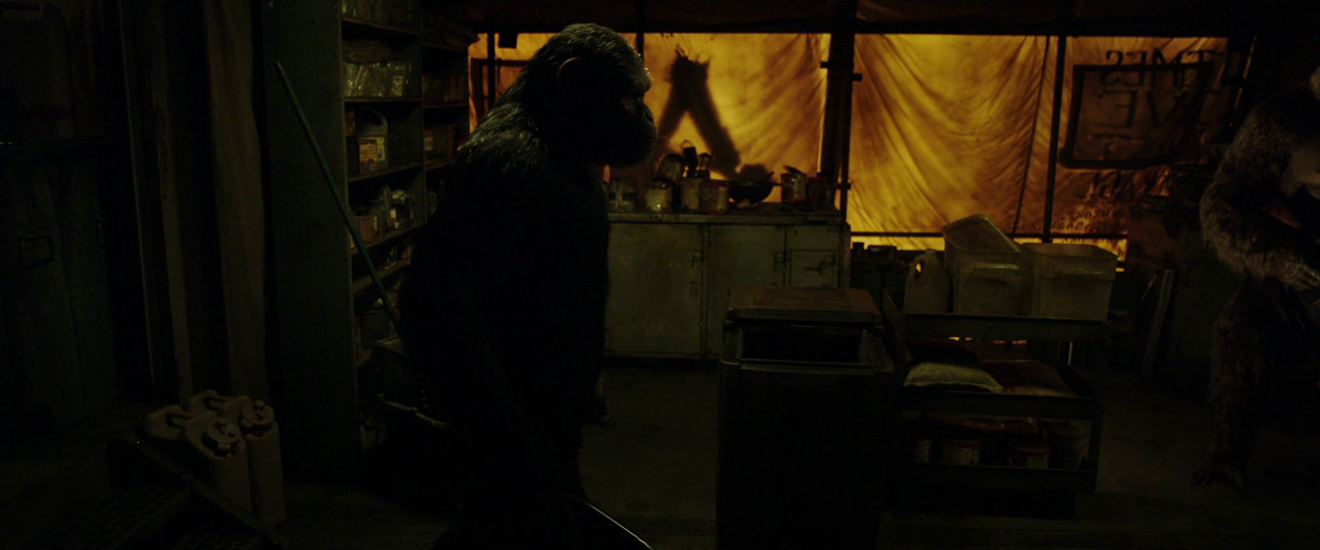 War for the Planet of the Apes (2017) screencap 4095