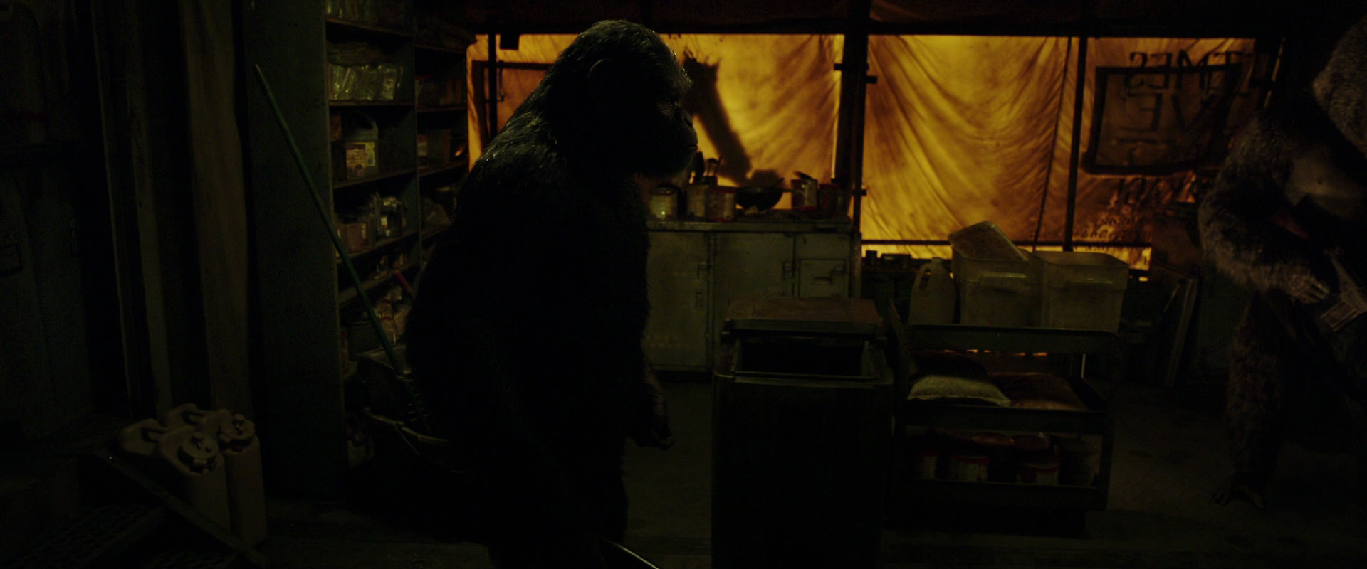 War for the Planet of the Apes (2017) movie still 4096