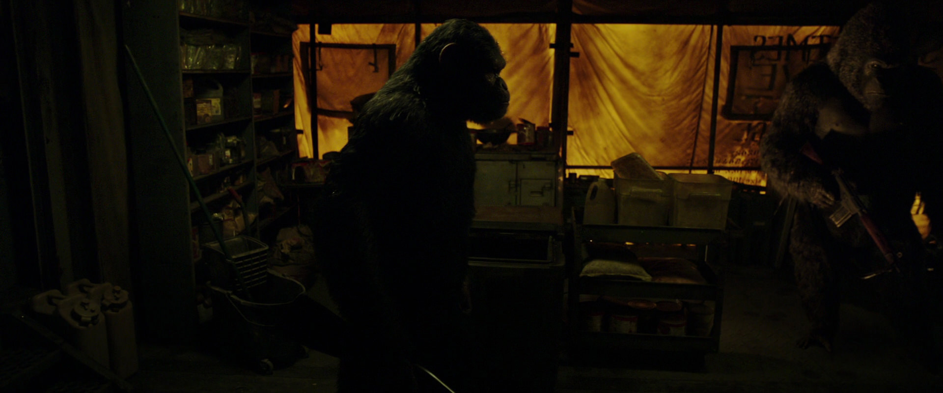 War for the Planet of the Apes (2017) screencap 4098