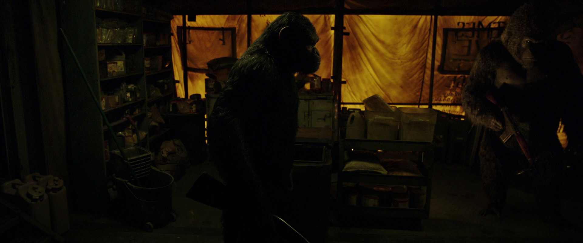 War for the Planet of the Apes (2017) movie still 4099