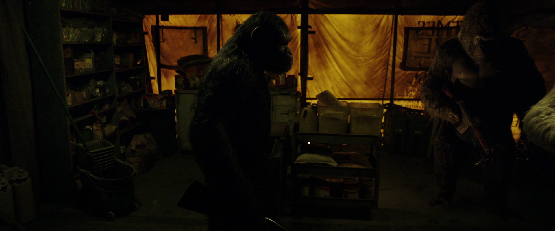 War for the Planet of the Apes (2017) screencap 4101