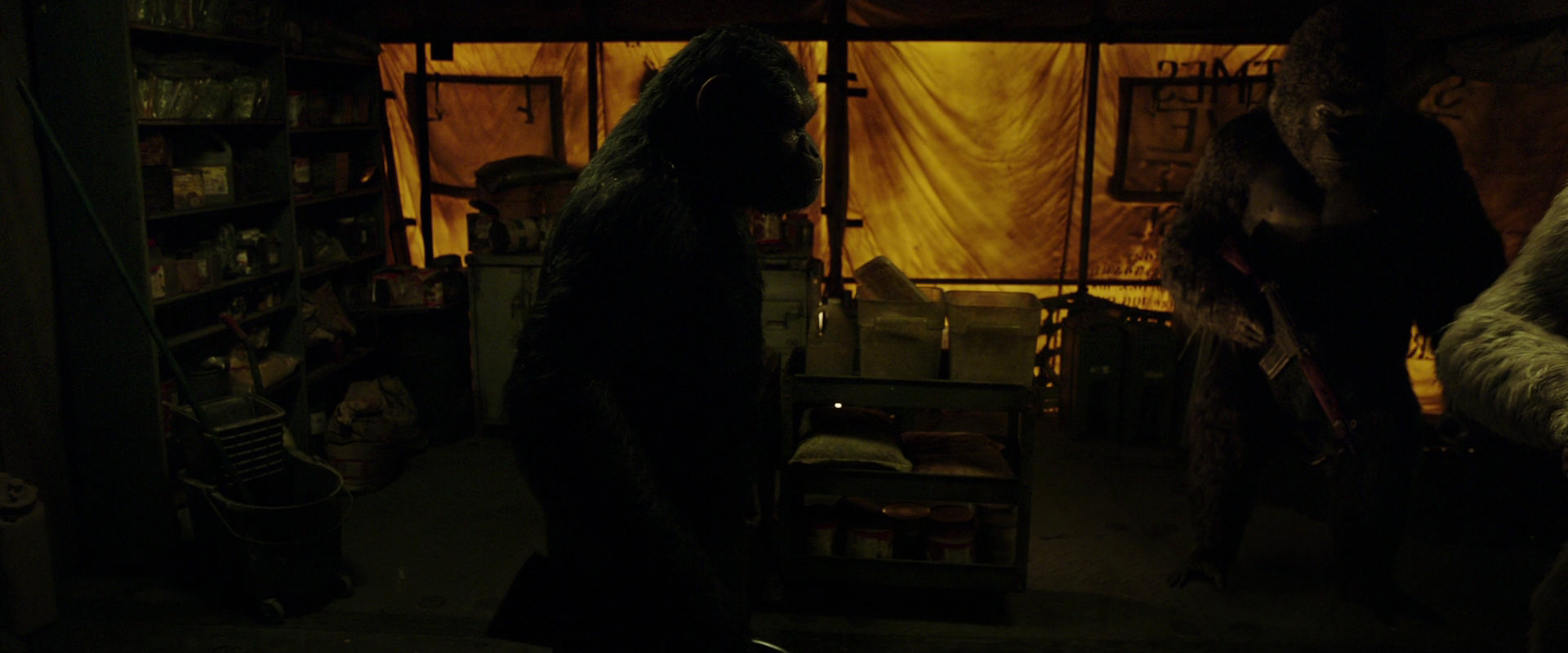 War for the Planet of the Apes (2017) movie still 4102