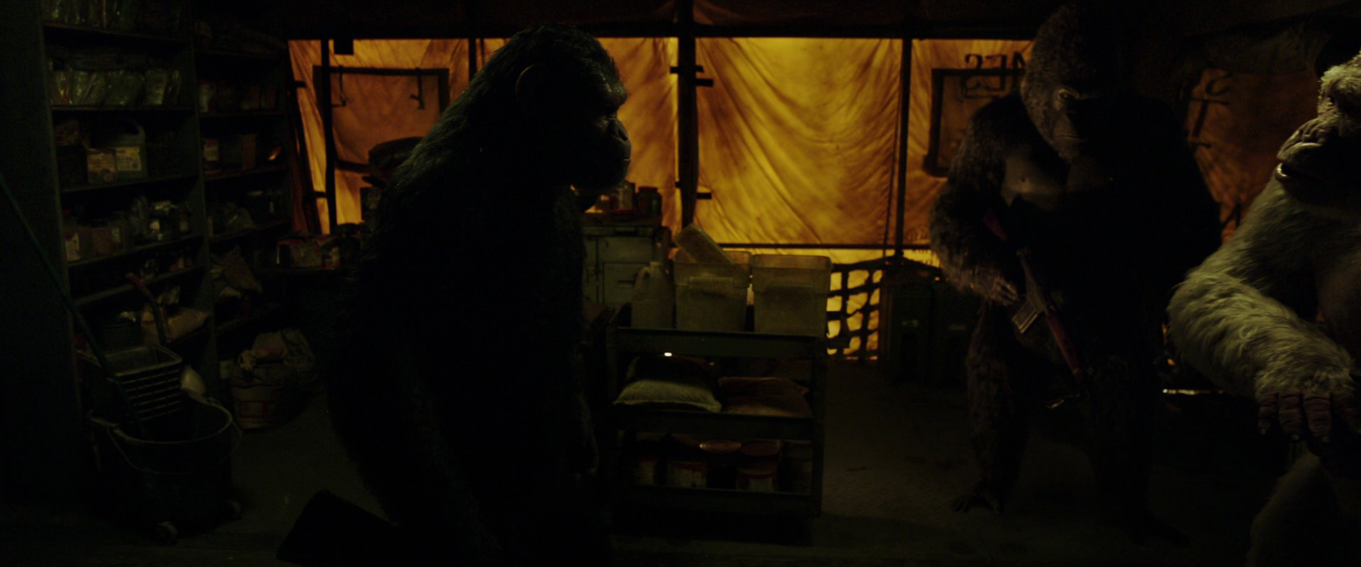War for the Planet of the Apes (2017) screencap 4104