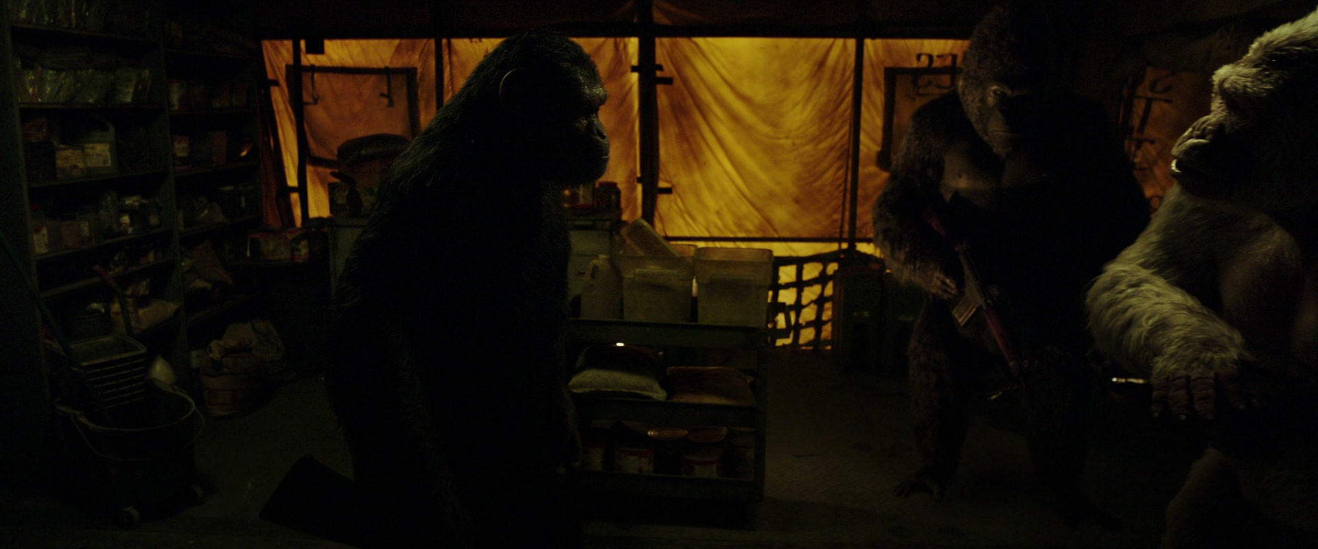 War for the Planet of the Apes (2017) movie still 4105