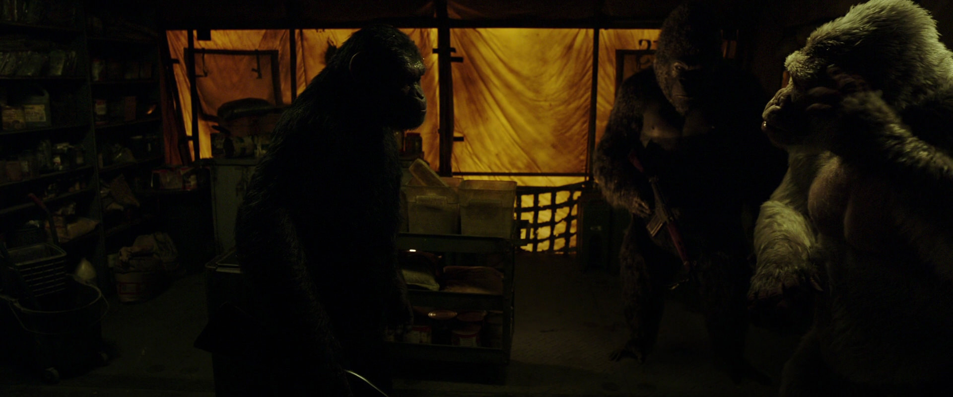 War for the Planet of the Apes (2017) screencap 4107