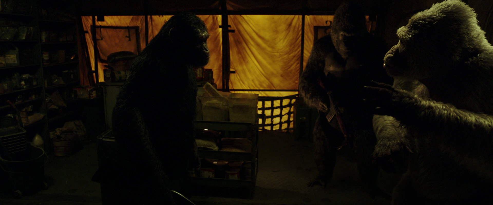 War for the Planet of the Apes (2017) movie still 4108