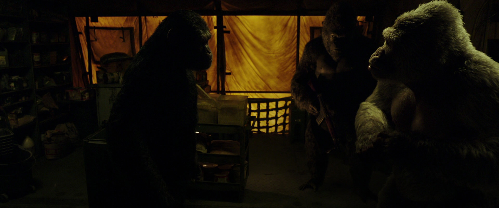 War for the Planet of the Apes (2017) screencap 4110