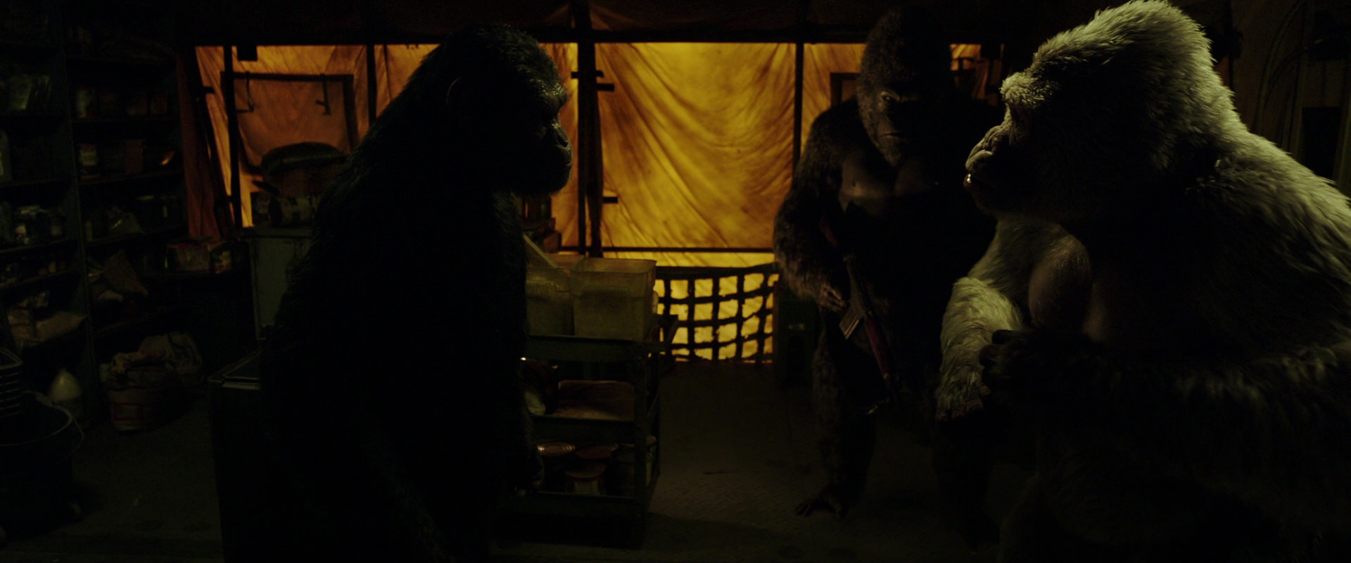 War for the Planet of the Apes (2017) movie still 4111