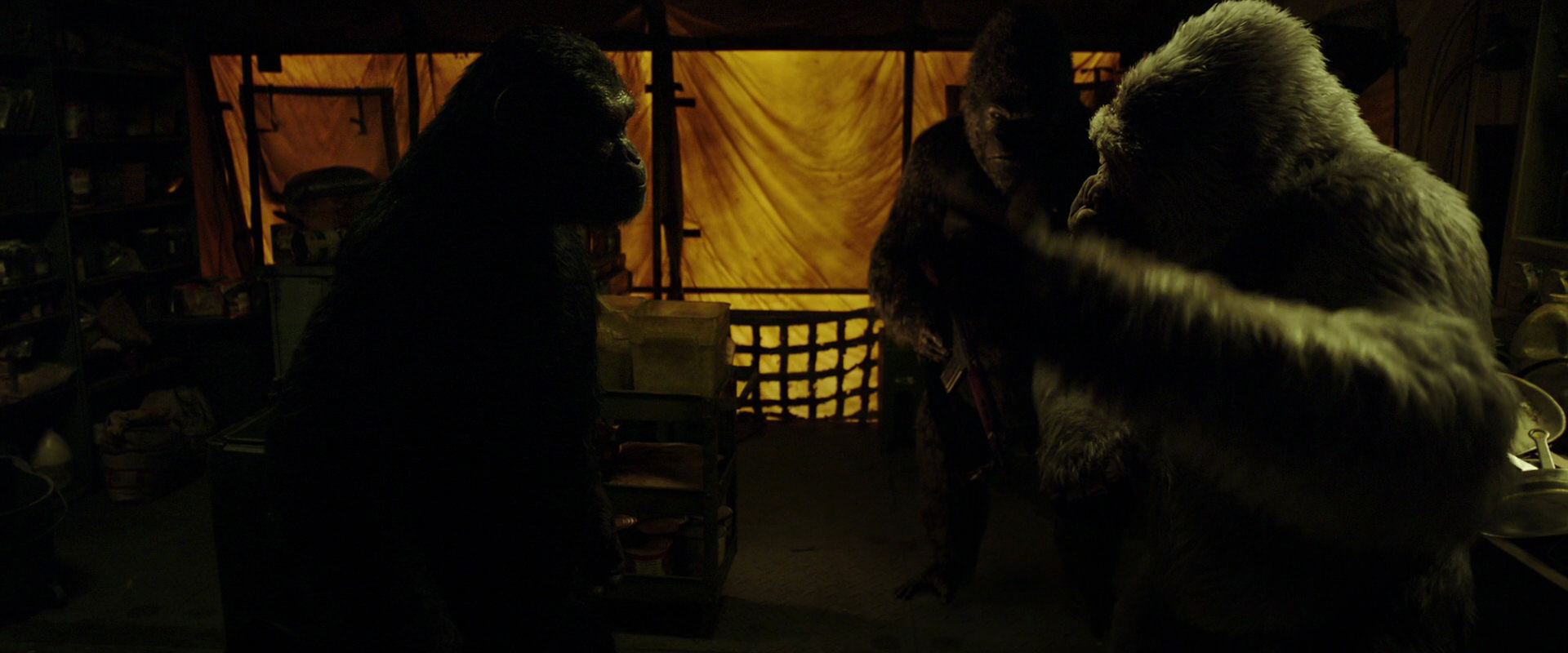 War for the Planet of the Apes (2017) screencap 4113