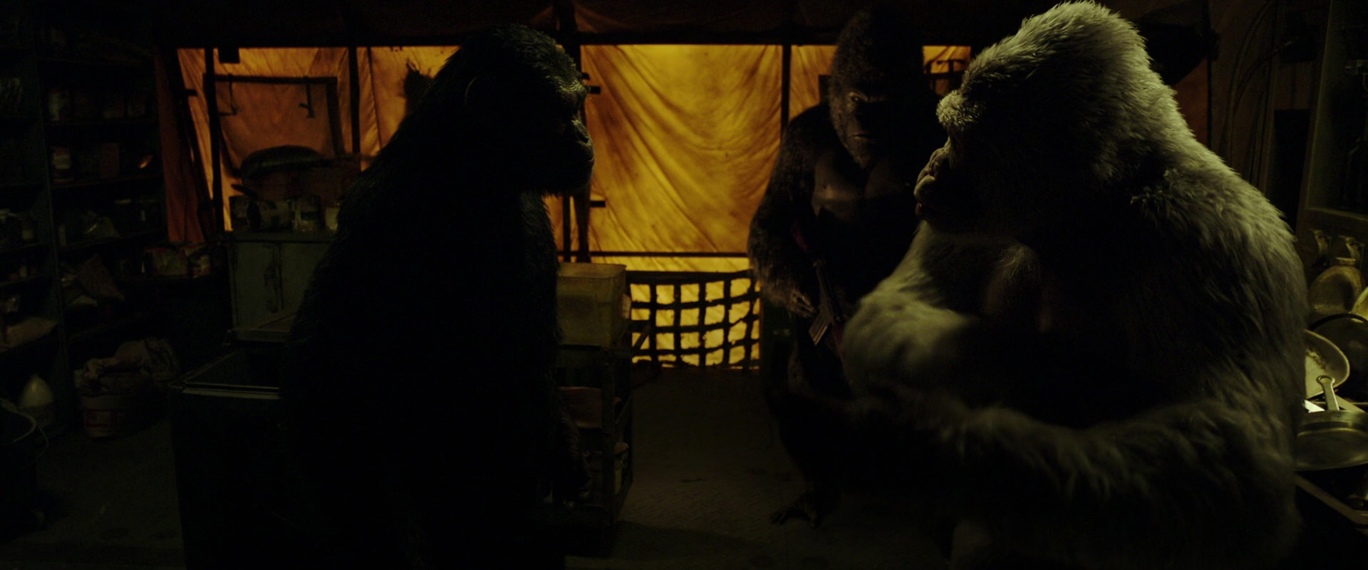 War for the Planet of the Apes (2017) movie still 4114