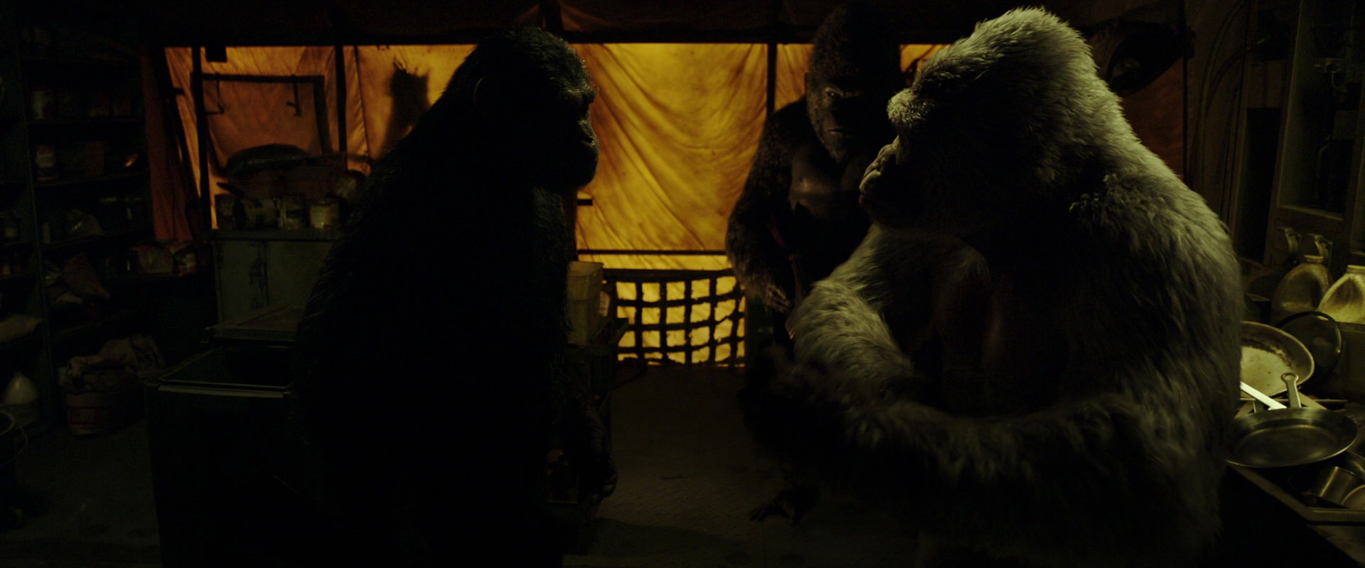 War for the Planet of the Apes (2017) screencap 4116
