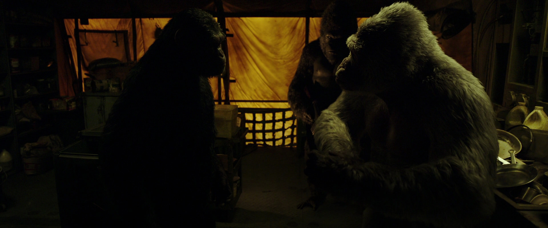 War for the Planet of the Apes (2017) movie still 4117