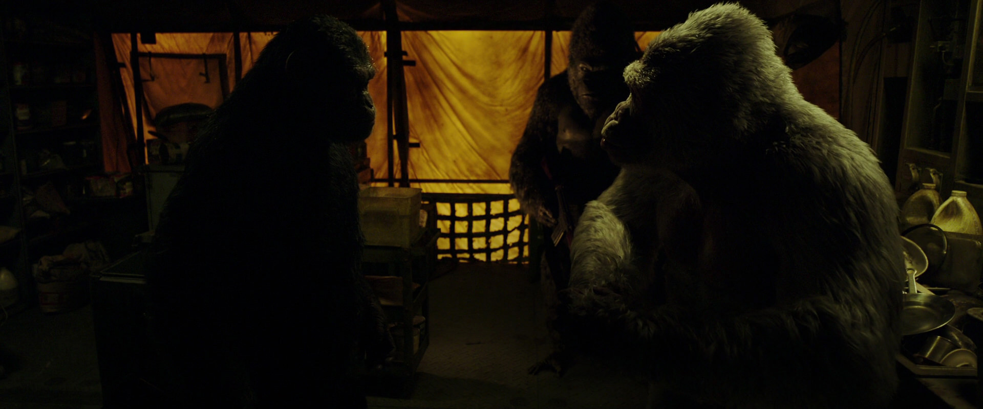 War for the Planet of the Apes (2017) screencap 4119