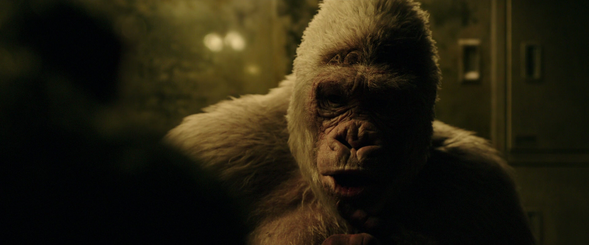 War for the Planet of the Apes (2017) movie still 4120