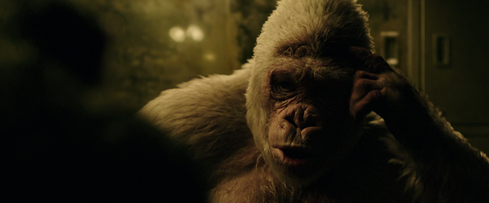 War for the Planet of the Apes (2017) HD screenshot 4121
