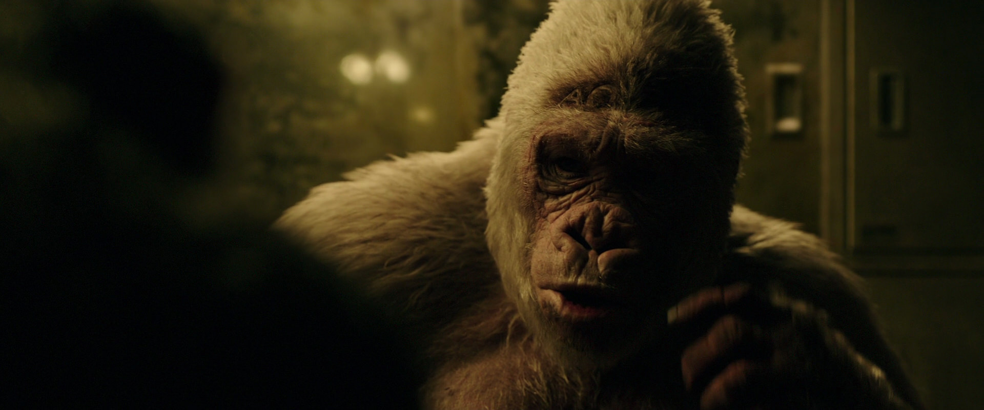 War for the Planet of the Apes (2017) screencap 4122