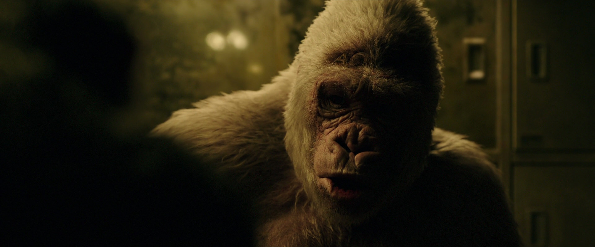 War for the Planet of the Apes (2017) movie still 4123