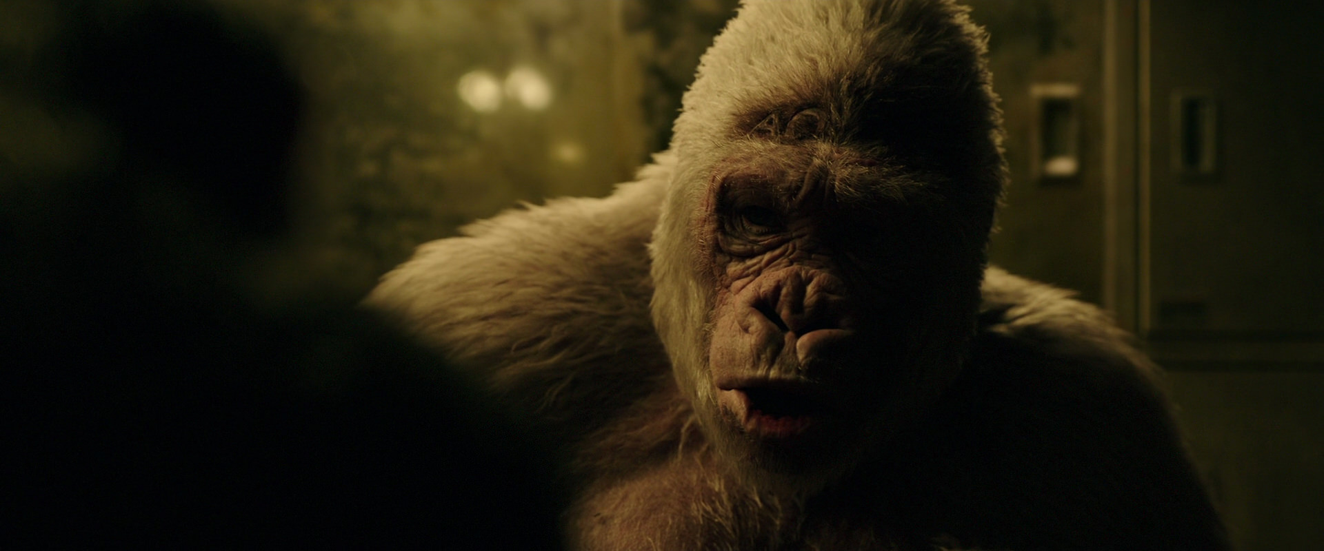War for the Planet of the Apes (2017) HD screenshot 4124