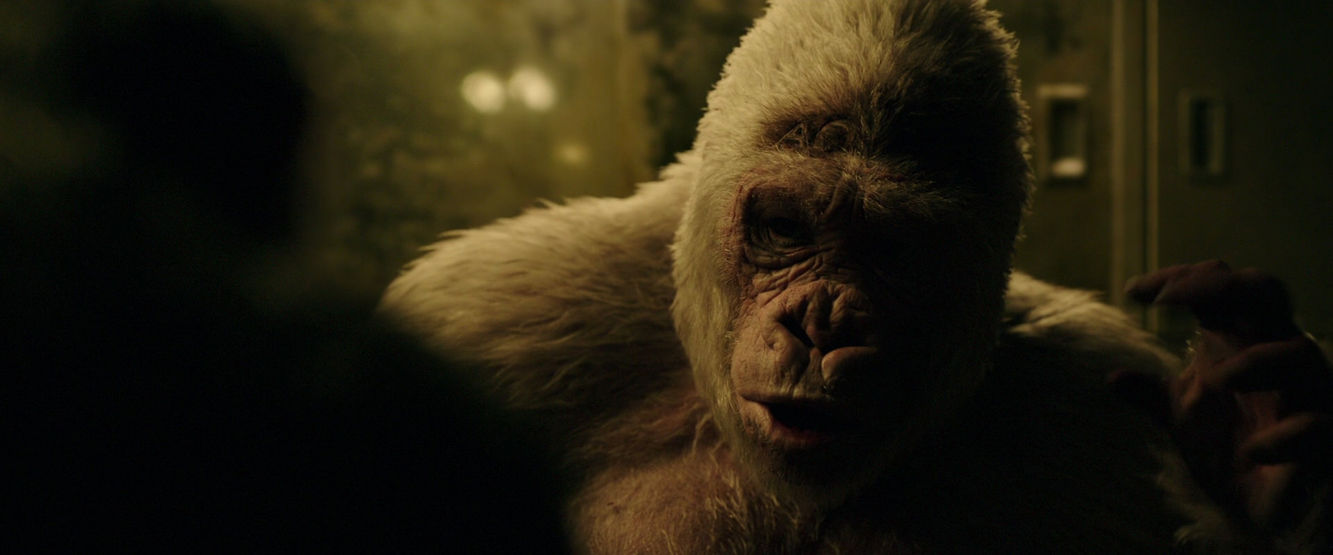 War for the Planet of the Apes (2017) screencap 4125