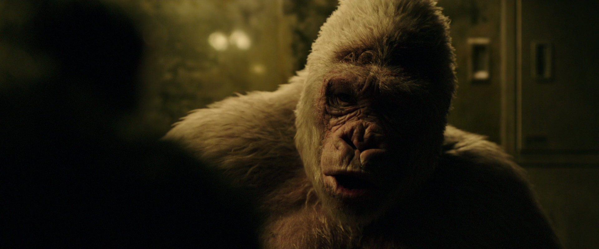 War for the Planet of the Apes (2017) movie still 4126