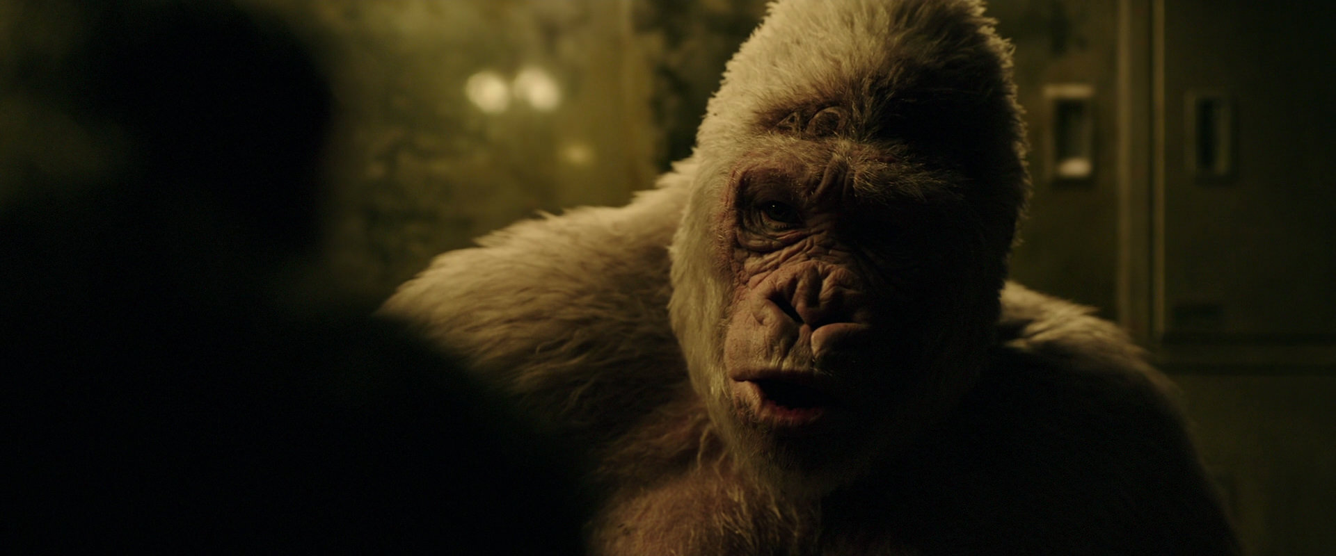 War for the Planet of the Apes (2017) HD screenshot 4127