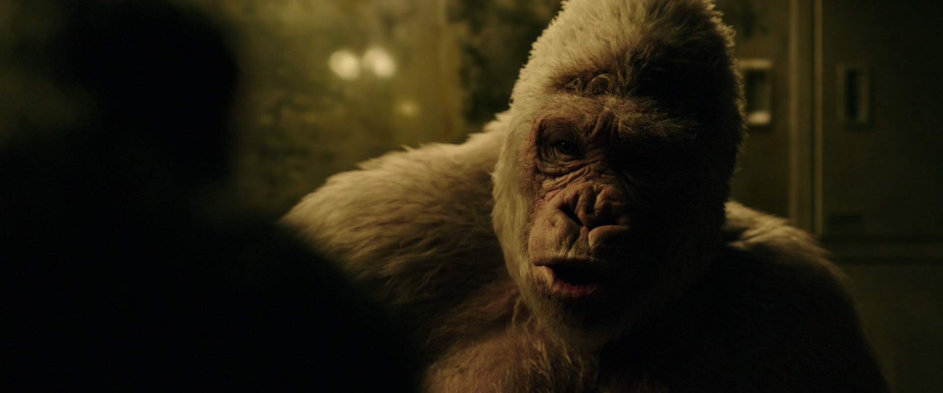 War for the Planet of the Apes (2017) screencap 4128