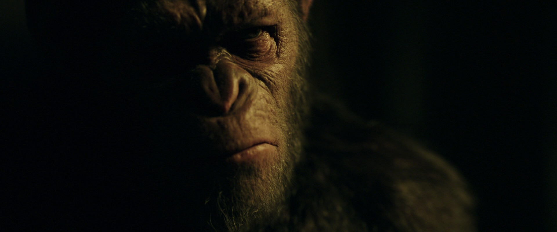 War for the Planet of the Apes (2017) HD screenshot 4130
