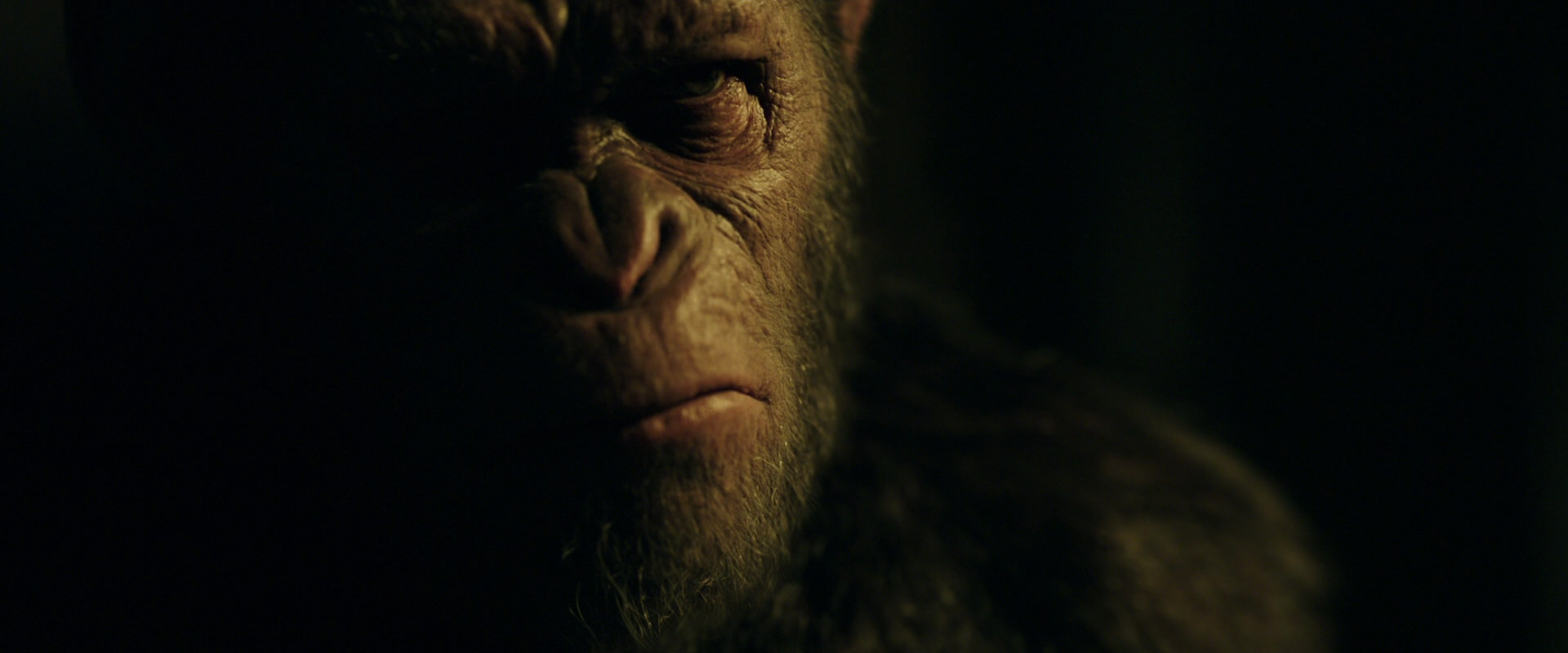 War for the Planet of the Apes (2017) screencap 4131