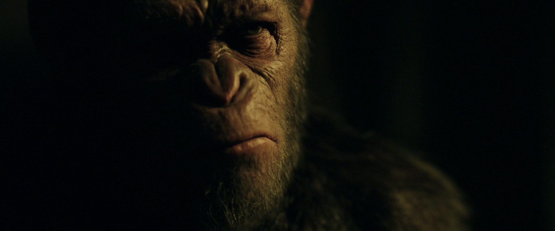 War for the Planet of the Apes (2017) movie still 4132
