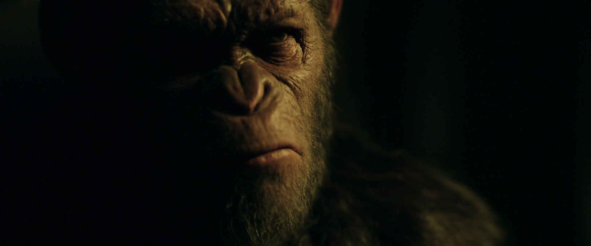 War for the Planet of the Apes (2017) HD screenshot 4133