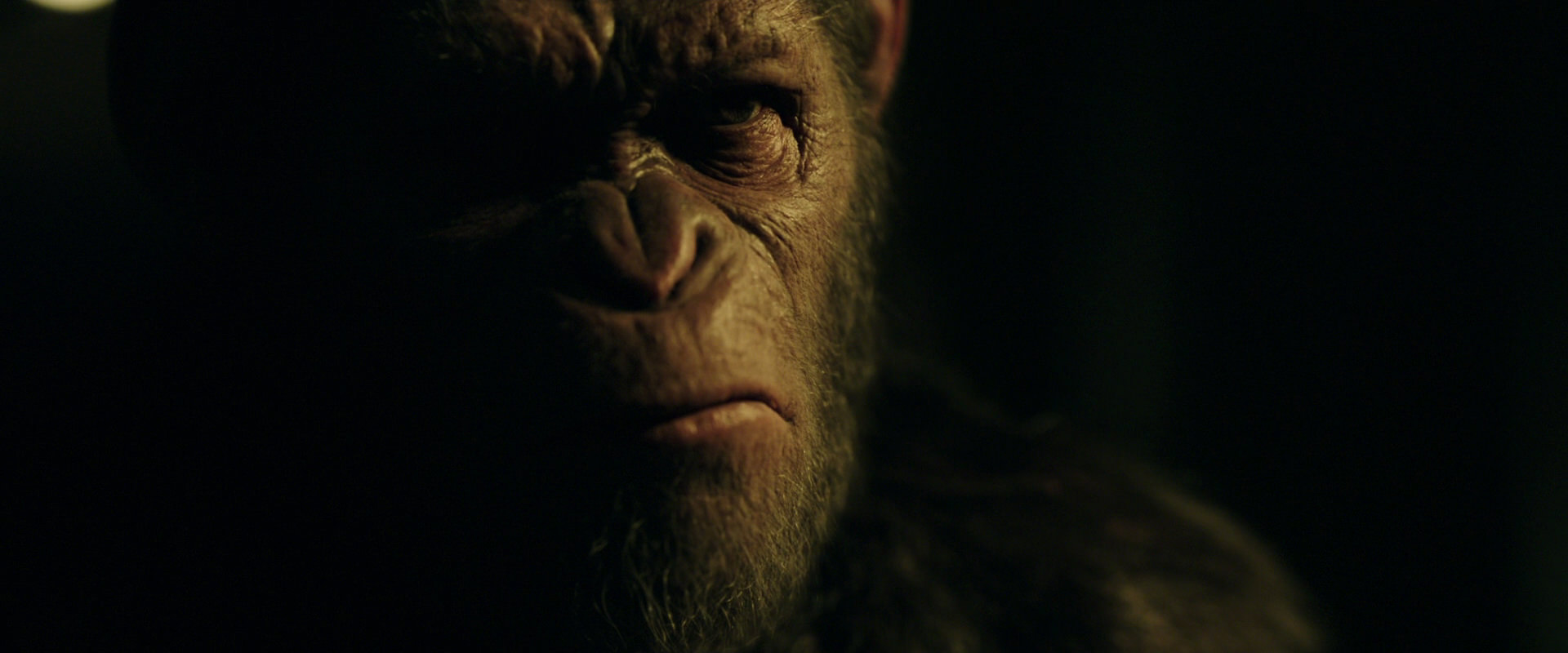 War for the Planet of the Apes (2017) screencap 4134