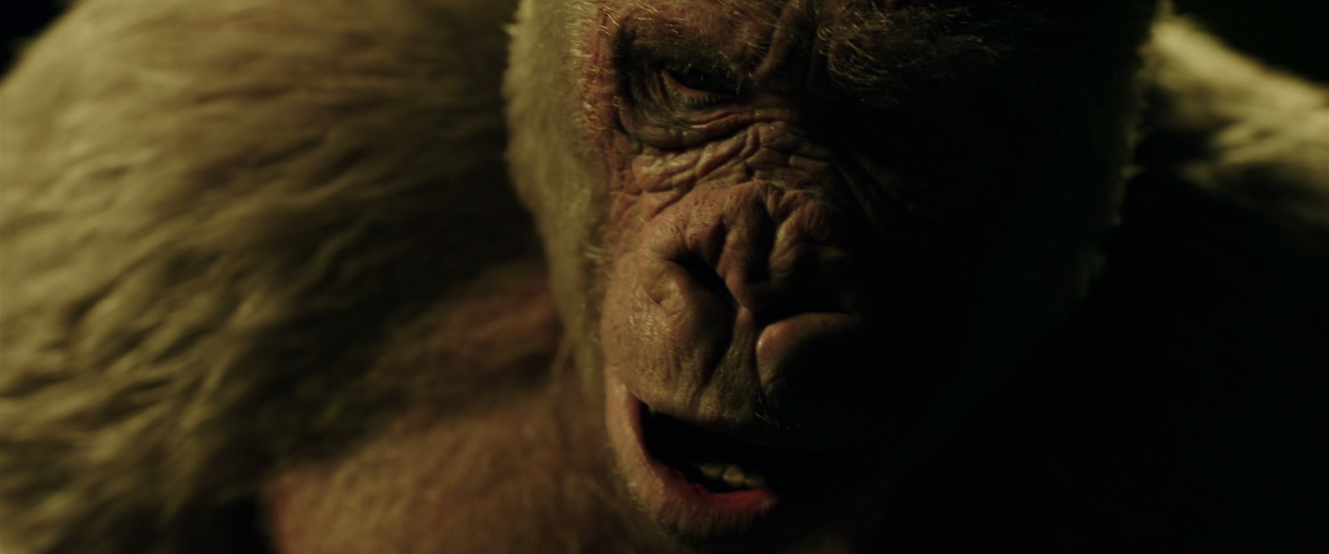 War for the Planet of the Apes (2017) HD screenshot 4136